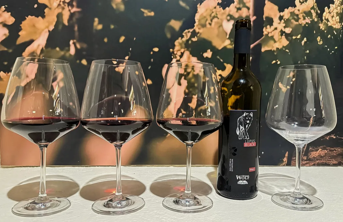 Weingut Wolf Lupus Black ja veiniklaasid